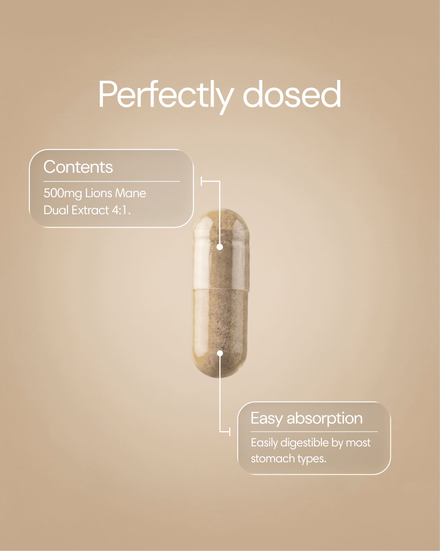 Clearly Lion's Mane capsules in a bottle, showing the supplement packaging and capsules inside.