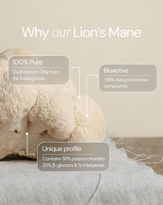 Clearly Lion's Mane capsules showing the supplement bottle and ingredient benefits on the label.