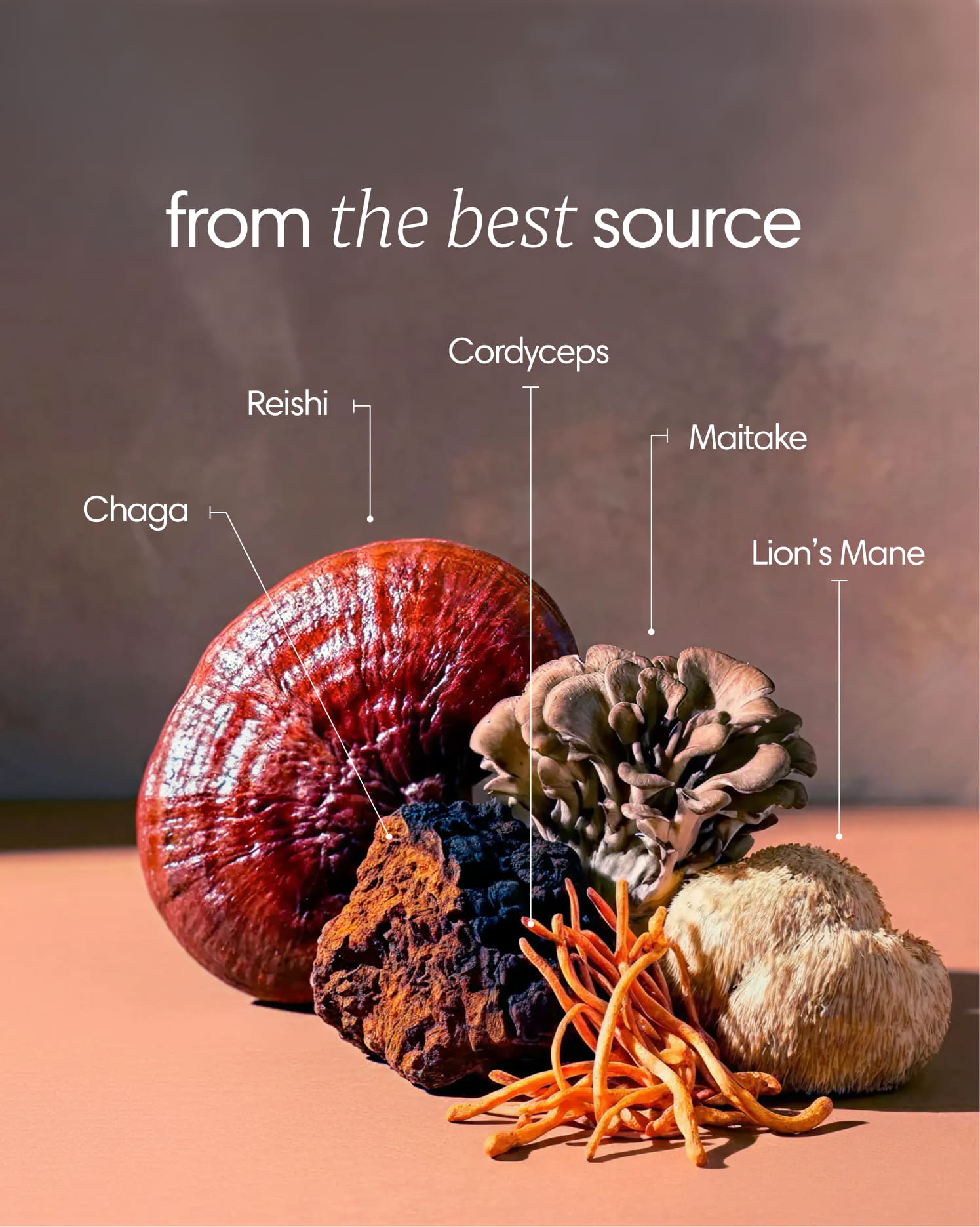  Clearly - Mushroom Mix